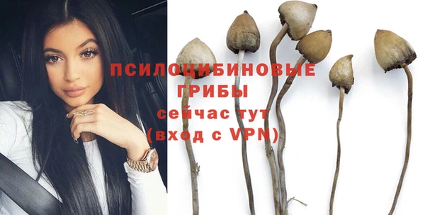 марки nbome Ельня