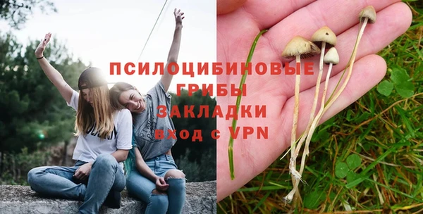 соль курить ск Елизово