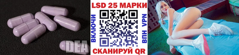 ЛСД экстази ecstasy  Каменногорск 