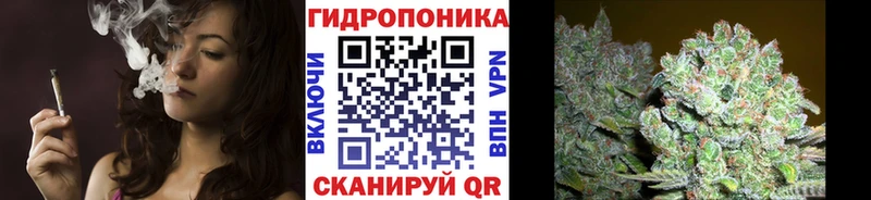 купить  сайты  Каменногорск  Конопля White Widow 